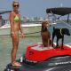 Pups on Board - '08 SeaDoo Speedster 150