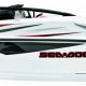 2011 Sea-Doo 200 Speedster -  Details Profile.jpg