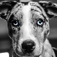 Drew Gloede's Photo